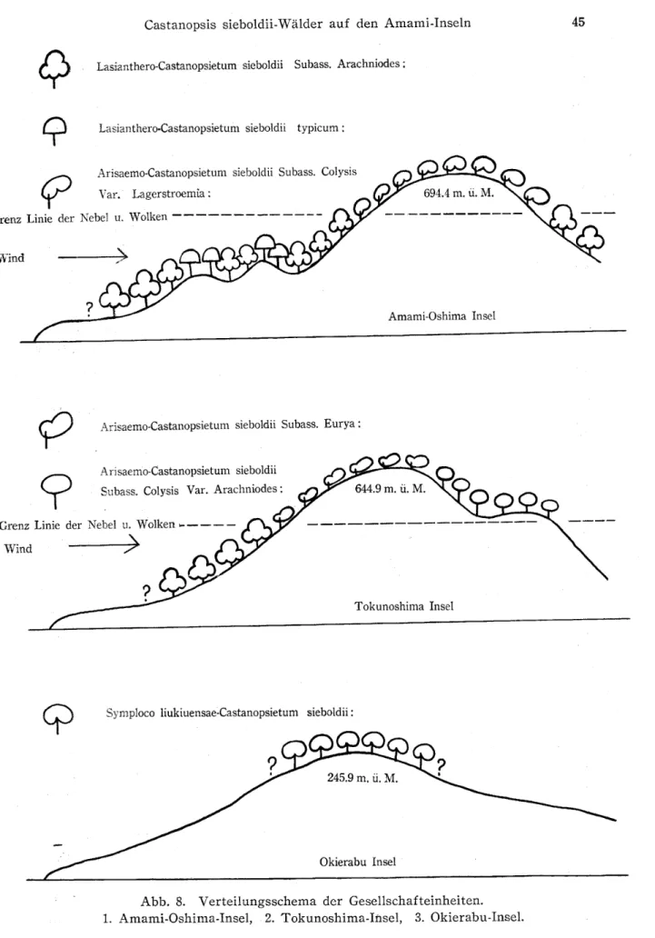 Abb. 8. Verteilungsscbema der Gesellschafteinbeiten･