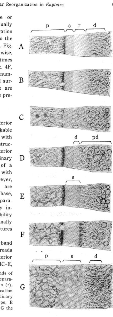 Fig. 4. The reorganization bands of