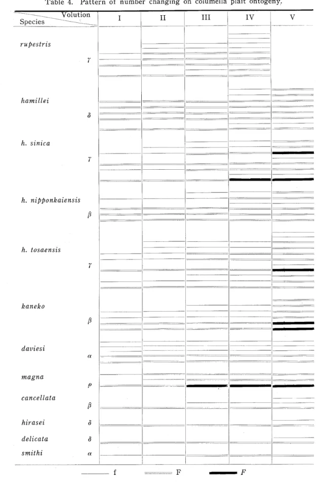 Table 4. Pattern of number changlng On COlumella plait ontogeny!