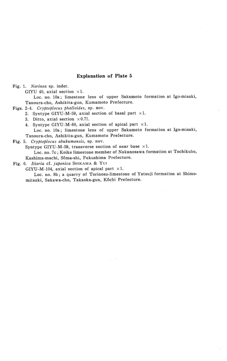 Fig. 5. CryPtoPlocus abukumensis, sp･ nov･