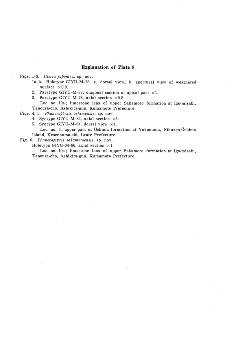 Fig. 6. PhaneroPtyxis sakamotoensis, sp. nov.