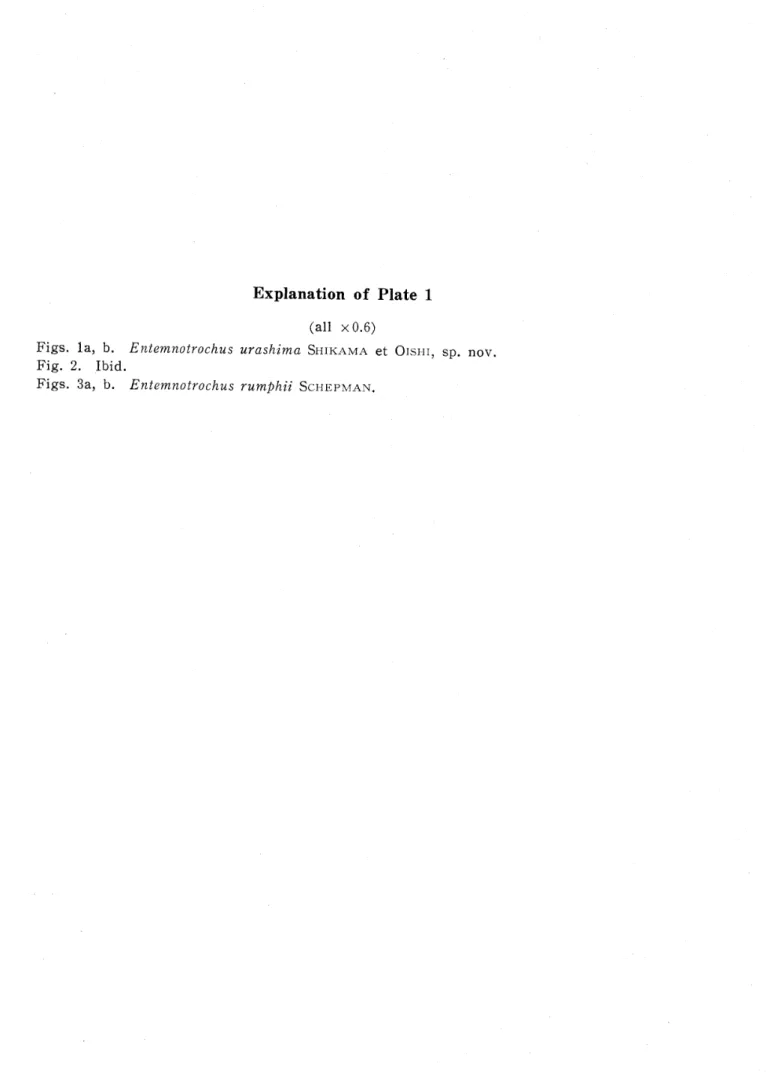 Fig. 2. Ibid.