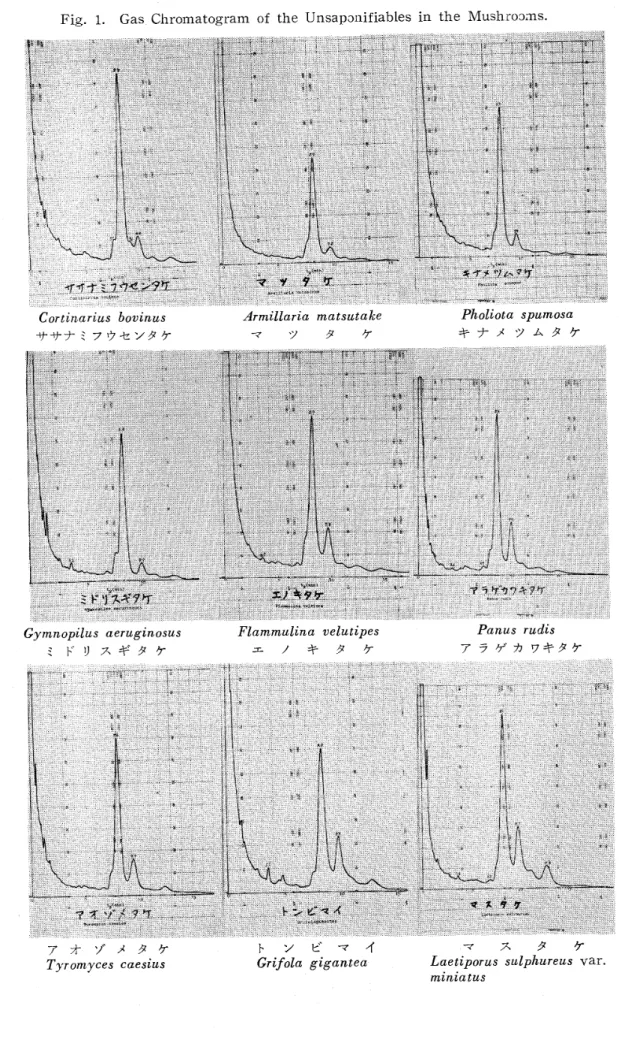 Fig. 1. Gas Cbromatogram of the Unsap〇nifiables in the Musbro〇皿S･