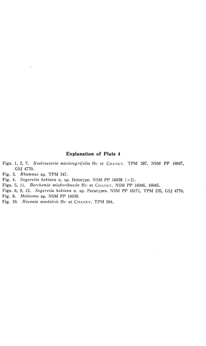Fig. 3. Rhamnus sp. TPM 347.