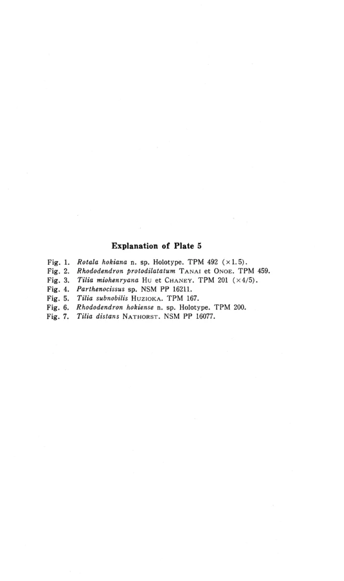 Fig. 1 Fig. 2 Fig. 3 Fig. 4 Fig. 5 Fig. 6 Fig. 7 Explanation of Plate 5