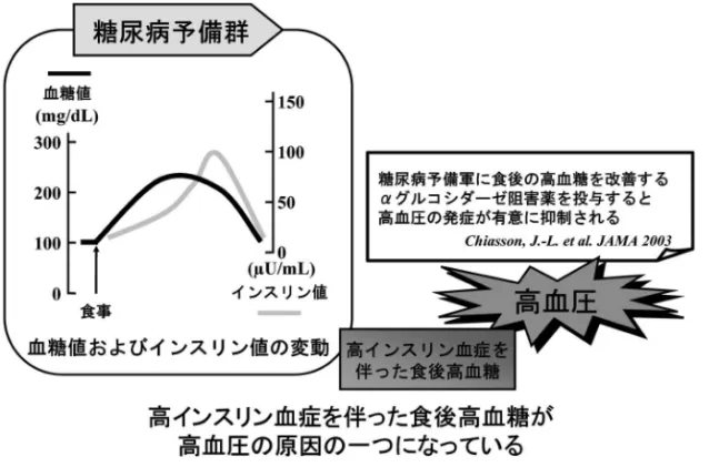Fig. 1. Transient Postprandial Hyperglycemia and Hyperinsulinemia May Contribute to the Development of Hypertension