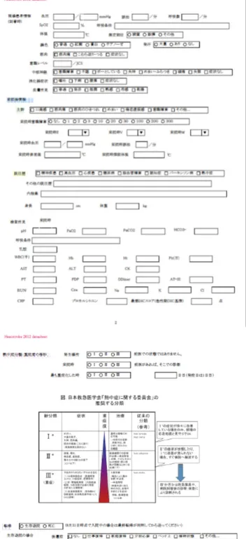 図 1.   データ記入シート（HsS2012）