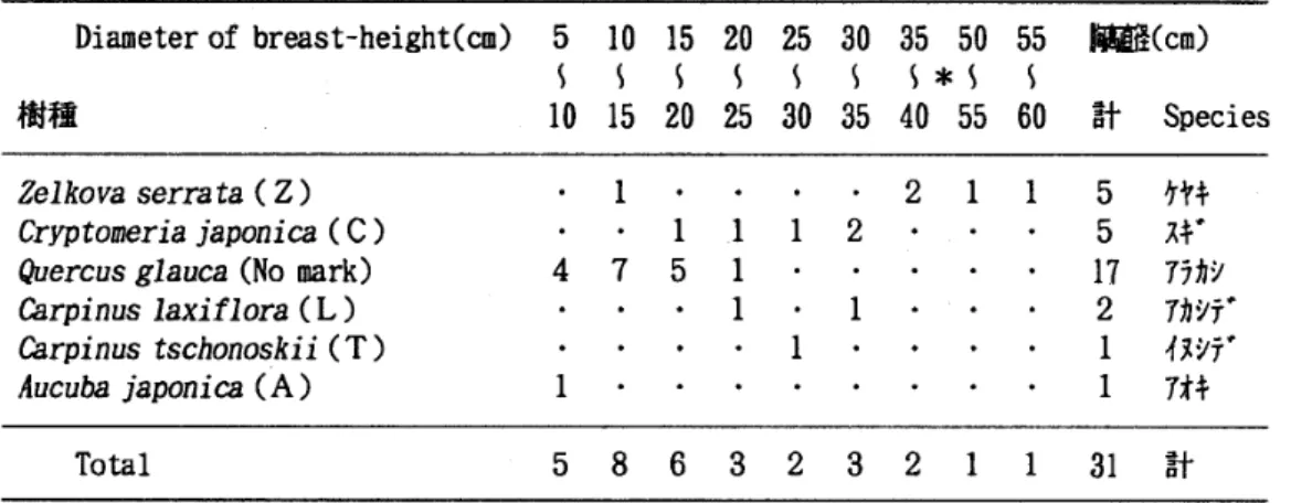 Tab･ 6. Number of trees in each diameter grade in the B belt‑transect
