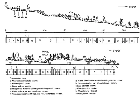 Fig･ 71 Profiles of microtopography and distribution of plant communities along Line C･