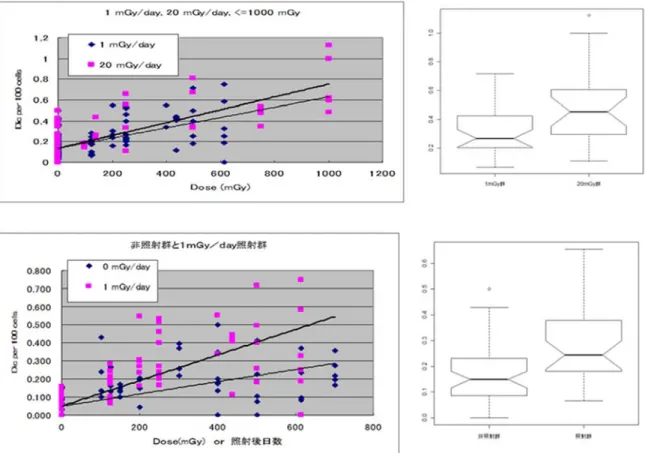 図 5 20 mGy 日と 1 mGy/日の低線量率照射間で生じる染色体異常頻度の違い。（図上左右）1 mGy/日 の長期照射の影響は 20 mGy/日より有意に低い。（図下左右）非照射の影響は 1 mGy/日の長期照射の 影響はよりも有意に低い。  ②  低線量率(20 mGy/日, 1 mGy/日)照射では、二動原体異常の染色体異常型はともに総線量（照射時 間）が増えるに伴いほぼ直線的に増加をした(図 4,5)[22,23]。なお、二動原体異常は照射され生じて も細胞分裂とともに減少をする異常である。マ