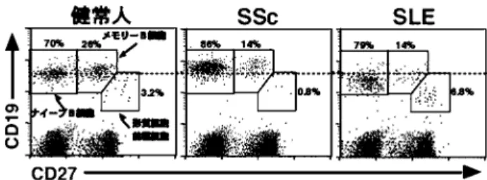 図 2 CD27 発現による末梢血液中 B 細胞のサブセット．ヒ ト末梢血液を抗 CD19 抗体，抗 CD27 抗体で 2 重染色 し ， フ ロ ー サ イ ト メ ト リ ー に て 解 析 し た ． 点 線 は CD19 発現量の比較のために示した．文献 31 より改変．て増加していた．このように，CD19 は SSc における自己免疫を規定する疾患感受性遺伝子の一つであることが明らかにされた．3.SSc 由来 B 細胞の内在性異常 近年，CD27 がメモリー B 細胞の表面抗原であることが明らかに