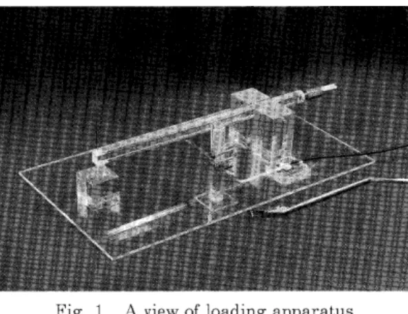 Fig. 1 A view of loading apparatus 天ブロックを破壊するのに要する力量すなわち破壊所要 力量を測定し,その力量を各寒天ブロックの硬さの表示 として用いた｡すなわち,口腔内と顛似した条件下で, 各種寒天ブロックを破壊し,唆合面間距離と破壊所要力 量との関係を検討した｡ 寒天ブロック破壊時の唆合面問距離と破壊所要力量と の開係については,図1に示す計測装置を用いて計測を 行った｡計測装置の唆合部位は,典型的な形態の第1大 臼歯の人工歯とし,唆合商問距離をストレイン･ゲージ を応