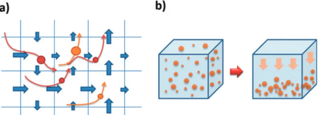 Figure 1：Schematics of PIC-type ocean model. a) Velocity field (blue arrows) is predicted at the surfaces of each cell in the Eulerian form, while the trajectory of each individual particle (red and orange circles) is calculated in the Lagrangian form