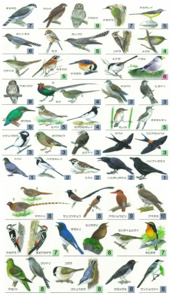図 -2  野鳥の点数（出典：公財）日本鳥類保護連盟） 