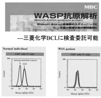 表 1 (A)WiskottAldrich 症候群の重症度分類と(B)WASP 発現レベルからのグループ化（Shcherbina ら 5) 1999 より引用一部改 変） A クラス 1（XLT） 血小板減少のみ クラス 2（XLT） 血小板減少＋軽症一過性の湿疹±軽症感染症 クラス 3（WAS） 血小板減少＋持続性の湿疹 and/or 反復性感染症 クラス 4（WAS） 血小板減少＋持続性難治性湿疹＋反復性重症感染症 クラス 5（WAS） 血小板減少＋湿疹 and/or 反復性感染症＋自己免疫疾患あるい