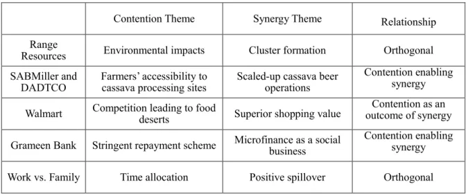 Table 5 Themes of contentious and synergistic interactions 