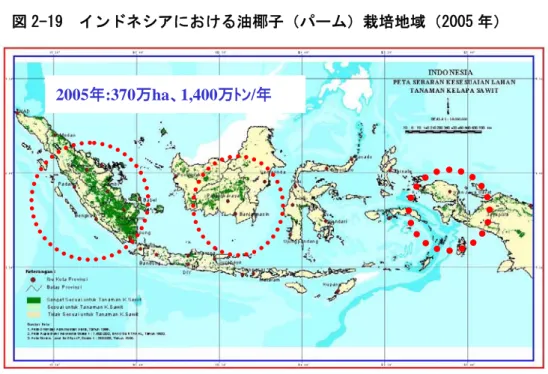図 2-19  インドネシアにおける油椰子（パーム）栽培地域（2005 年）  2005年:370万ha、1,400万ﾄﾝ/年  （ 出所）PEC 主催（第５回アジア石油技術シンポジウム）        「インドネシアにおける代替エネルギーの開発状況について」 （２００７年１月）  表 2-19  インドネシアにおける主な作物の需給バランス（2005 年） 生産量 輸入量 輸出量 飼料・種子用 食用 その他 小麦 5,201 228 4,002 971 米 53,985 990 185 1,145 45,4