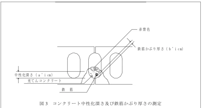 図 3  コンクリート中性化深さ及び鉄筋かぶり厚さの測定    鉄筋かぶり厚さについては，4.2.4(2)で述べた。建築基準法施行令には耐力壁のかぶり厚 さは，2cm 以上という規定があり，この値を考慮して鉄筋かぶり厚さのランク付けを行っ た（表 6）。また，鉄筋の台直し部分，空洞部内での継手部分も評価してよい。  4.2.6  鉄筋腐食度   ④ 鉄筋腐食度；F    前記②－(b)および③－(b)の鉄筋かぶり厚さの測定を行った臥梁，基礎梁，コンク リートブロック壁縦目地，横目地部についてそれぞれ 2 箇