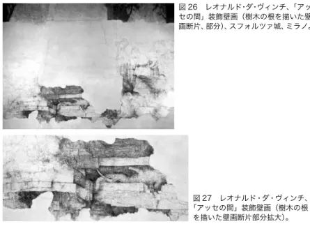 図 26　レオナルド・ダ・ヴィンチ、「アッ セの間」装飾壁画（樹木の根を描いた壁 画断片、部分）、スフォルツァ城、ミラノ。 図 27　レオナルド・ダ・ヴィンチ、 「アッセの間」装飾壁画（樹木の根 を描いた壁画断片部分拡大）。 のであると考えられる。つまり、モティーフや構図に関するミラノ公からの 要求と、独自の発想とをうまく融合させたものと思われる 23） 。 さらに装飾では、全体にわたって、樹木の枝に細い紐が巻きつき、それが 途切れることのない組紐文様を形成している。この装飾はレダを扱う少し前 に描かれたも