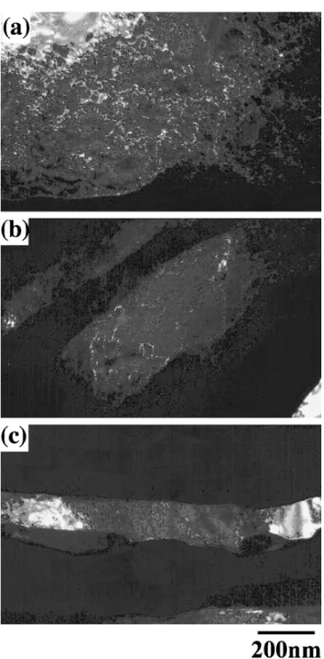 Fig. 3 MicroVickers hardness of the ARB processed nickel sheets as a function of number of ARB cycle.