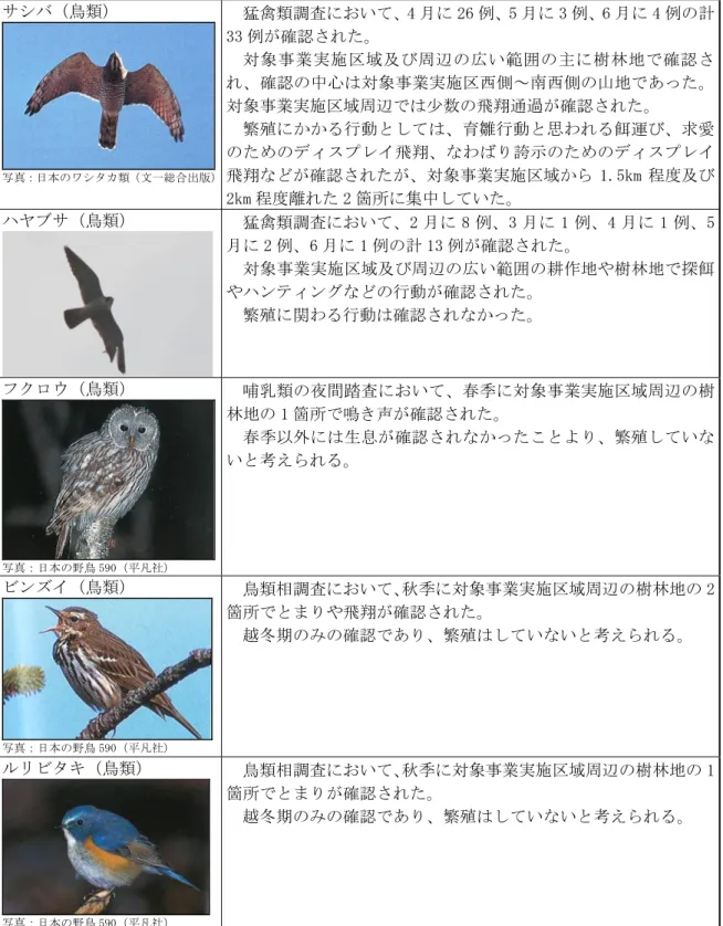 表 5.8.1-18（2）  現地調査で確認された重要な種の分布、生息の状況及び生息環境の状況  種名  分布・生息の状況及び生息環境の状況  サシバ（鳥類）  写真：日本のワシタカ類（文一総合出版） 猛禽類調査において、4 月に 26 例、5 月に 3 例、6 月に 4 例の計33 例が確認された。 対象事業実施区域及び周辺の広い範囲の主に樹林地で確認され、確認の中心は対象事業実施区西側～南西側の山地であった。対象事業実施区域周辺では少数の飛翔通過が確認された。 繁殖にかかる行動としては、育雛行動と思われ
