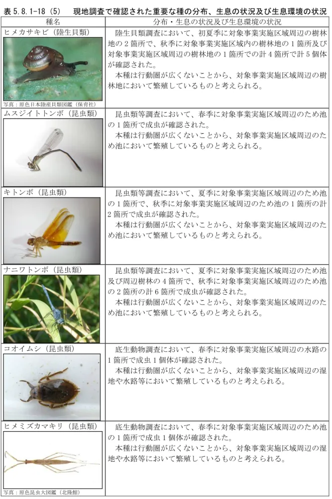 表 5.8.1-18（5）  現地調査で確認された重要な種の分布、生息の状況及び生息環境の状況  種名  分布・生息の状況及び生息環境の状況  ヒメカサキビ（陸生貝類）  写真：原色日本陸産貝類図鑑（保育社） 陸生貝類調査において、初夏季に対象事業実施区域周辺の樹林地の 2 箇所で、秋季に対象事業実施区域内の樹林地の 1 箇所及び対象事業実施区域周辺の樹林地の 1 箇所での計 4 箇所で計 5 個体が確認された。 本種は行動圏が広くないことから、対象事業実施区域周辺の樹林地において繁殖しているものと考えられ