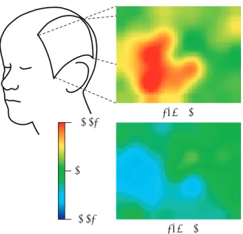 Fig. 9 fNIRS imaging of Broca’s area in linguistic experiment 解剖学的見地 (12) より，図 9 において oxy-Hb が増加 し，かつ deoxy-Hb が減少している部位の中で，左側 の部位がブローカ野であると考えられる．これらの結 果より，提案の方法によりブローカ野の活動が明瞭に 観測できることがわかる． 5 