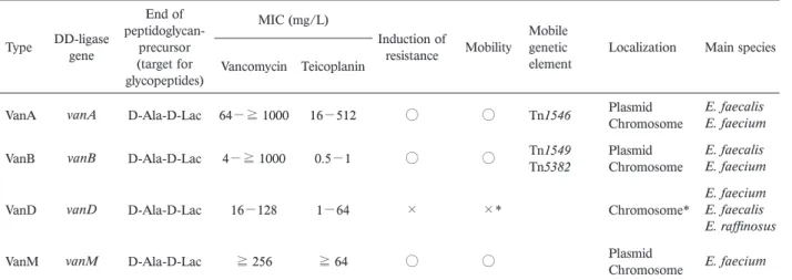 Fig. 1.  Schematic diagram of VanA-type vancomycin-resistance gene cluster encoded on Tn1546 in E