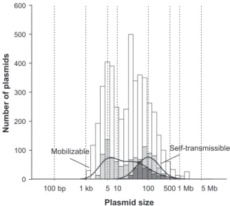Fig. 4.  Distribution of self-transmissible (dark gray) and mobiliz- mobiliz-able (light gray) plasmids according to Plasmid size.