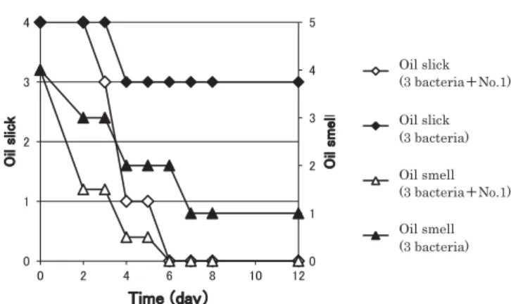 Fig. 2.  Eﬀ  ect of strain No. 1 on oil slick and smell in the process of  bioremediation