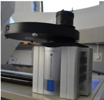 図 9:BN-82L の量子効率 