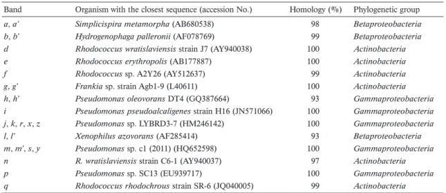 Table 3.  Benzene degradation test for isolated strains
