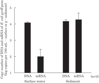Fig. 2.  Expression of gyrB mRNA of E. coli in river surface water  and sediment. Each error bar indicates the standard deviation  derived from triplicate samples.
