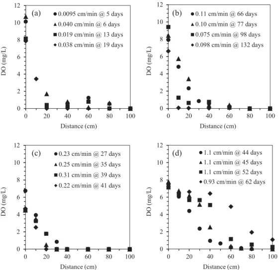 Fig. 3.  DO profi  les column over time at rate of fl  ow 0.03 cm/min (a), 0.1 cm/min (b), 0.3 cm/min (c) and 1.0 cm/min (d).