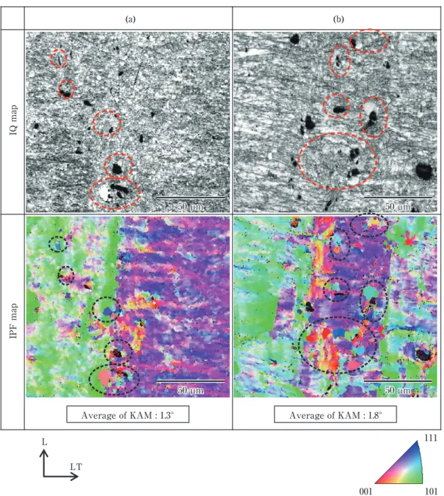 Fig. 10　 Image quality and inverse pole figure maps after the final annealing at 623 K for 5 s