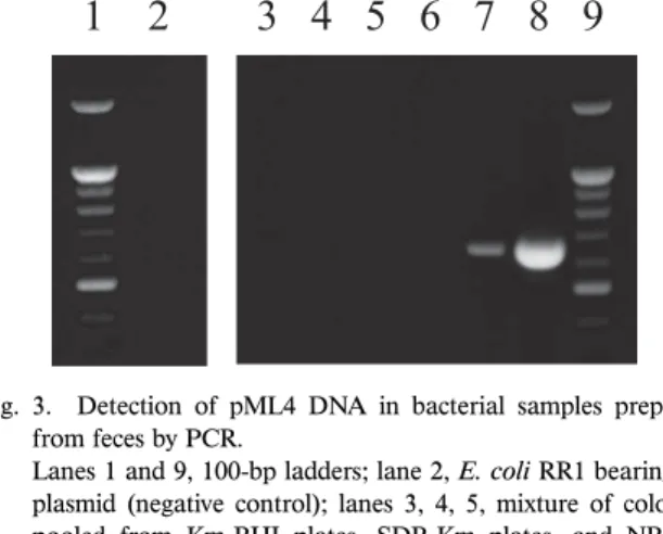 Table 1.  Km resistance and pML4 DNA transfer to bacteria from GM fish feces.