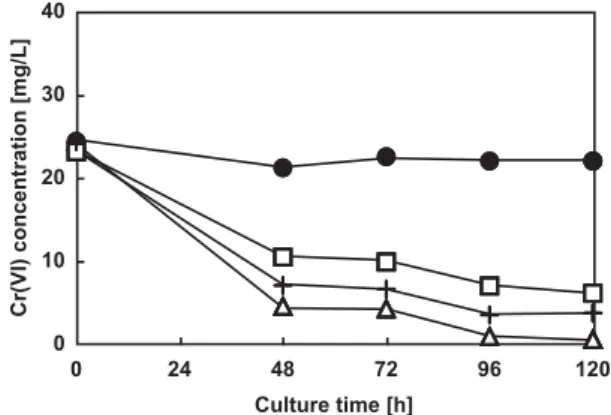 Fig. 7.  Time course of changes in Cr(VI) levels in samples from  contaminated soil using water phase bioremediation.