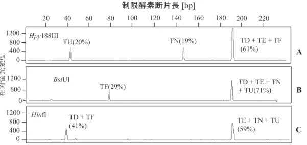 図 4 ．T. disciformis と T. eikelboomii の 2 者混合系の T-RFLP。