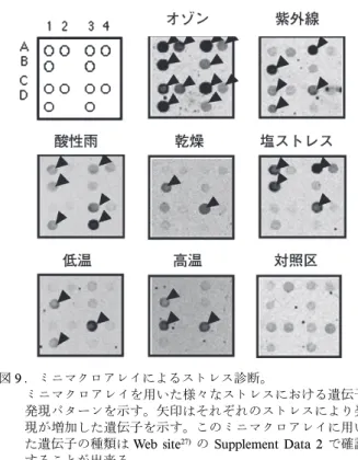 図 9 ．ミニマクロアレイによるストレス診断。