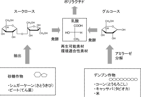 図 6 ．各種糖質原料からの乳酸発酵。