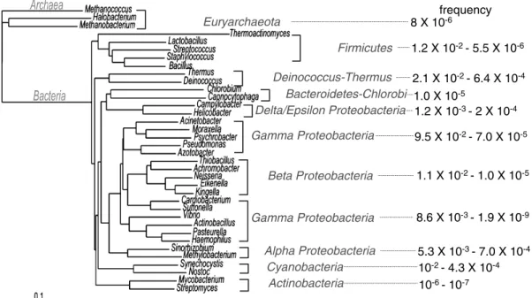Fig.  2.    Natural  transformable  species  around  the  microbial  world.  The  phylogenetic  tree  was  described  based  on  16S  ribosomal  DNA