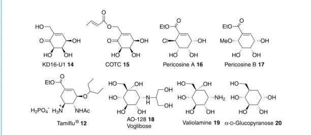 Figure 2.  Structures of some calystegines