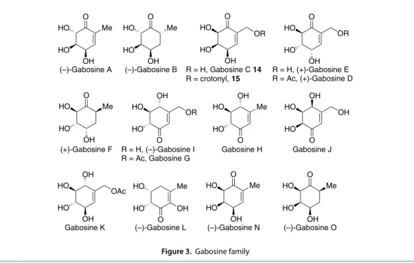 Figure 3.  Gabosine family