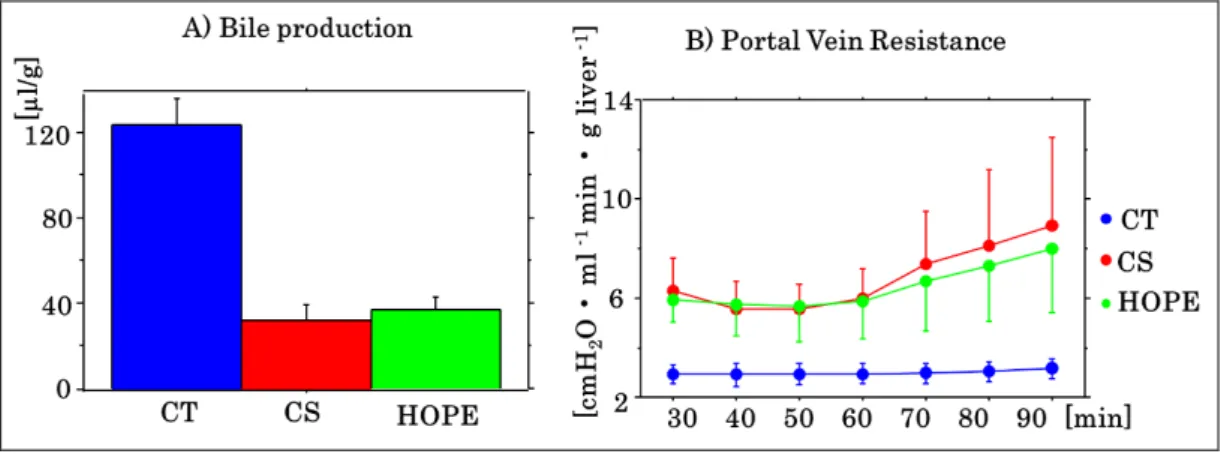 図 5  DCD 肝モデルに対する臓器灌流の胆汁産生量と PVR 