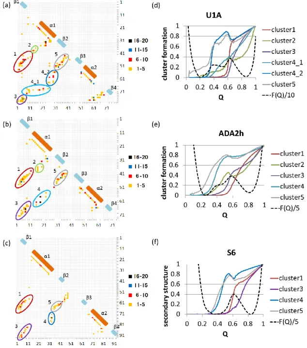 図 4:  (a)  U1A、(b)  ADA2h、(c)  S6 の天然構造のコンタクトマップ。それぞれの点の色は残基ペアの間に形