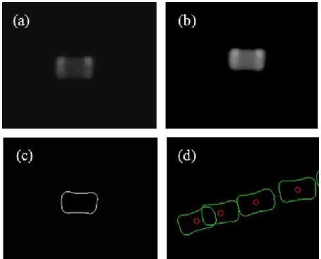 Figure 2.6 Procedure for detecting center of micro – parts: (a) row image, (b) improved image,  (c) edge detection by Canny method, and (d) tracked center