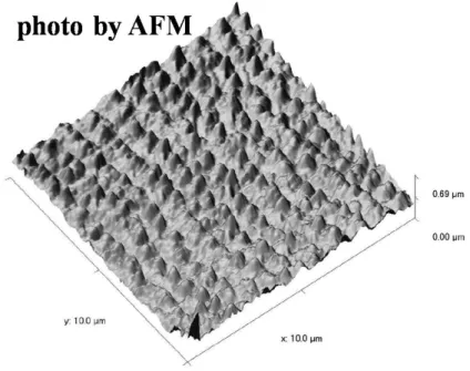 Figure 2.15 Microfabricated surface profile seen in atomic force microscope 