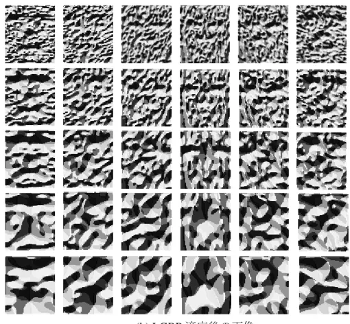 図 5.4(a)は Gabor フィルタの適用前画像，図 5.4(b)は Gabor フィルタの適用により算出した