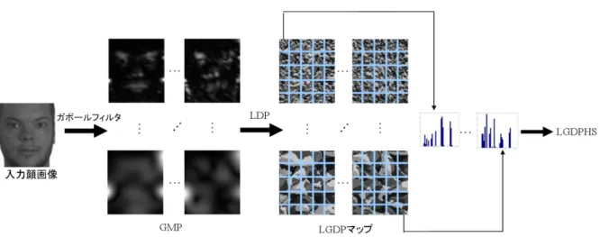図 6.1：LGDPHS のフレームワーク 