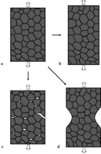 Figure 2.18 Key evolution routes of a NC specimen under tensile load. (a) Initial state of the NC  specimen
